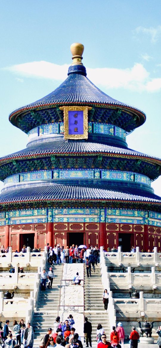 青春北京 App 我的参与记录界面，深色列表按月份分组展示已参加活动与回执编号，右侧有提醒状态标记，氛围安静规整
